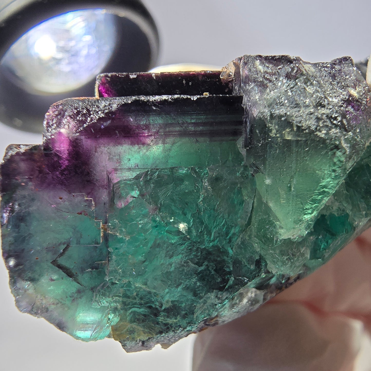 Spécimen de cube de fluorite fantôme, parqueté vert violet Okorusu, Namibie 59*41*24 mm 