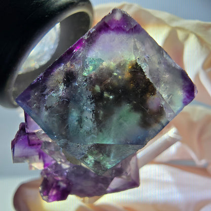 Spécimen rare de cube de fluorite, vert violet, Okorusu, Namibie, 35 x 27 x 20 mm 