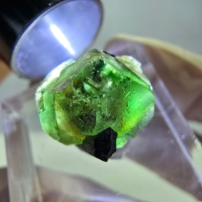 Cube hexagonal de fluorite fantôme, muscovite, tourmaline Schörl, Erongo, Namibie 14 x 13 x 12 mm 