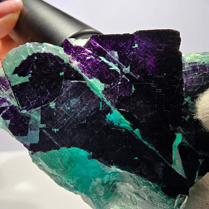 Grand spécimen de cube de fluorite fantôme vert violet zonal 11:11 Angel Pocket, Namibie 103*61*33mm 