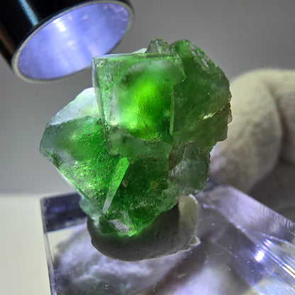 Cube de fluorite fantôme, spécimen de tourmaline Schorl, Erongo, Namibie, 23 x 19 x 15 mm 