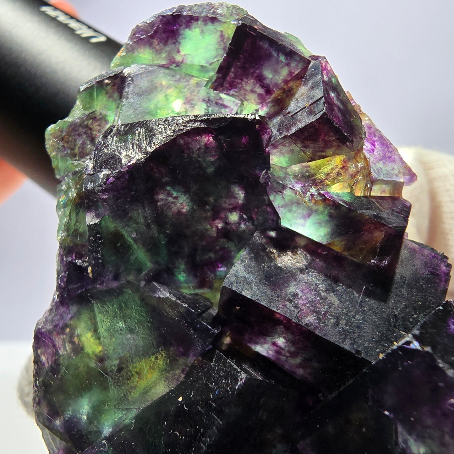 Spécimen de cube de fluorite fantôme transparent, parqueté, zonal, Okorusu, Namibie, 76 x 46 x 28 mm 