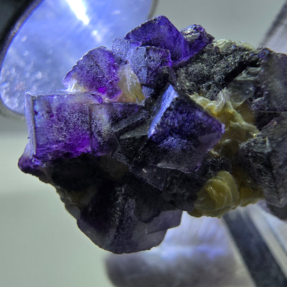 Cubes de fluorite fantôme colorés, spécimen de muscovite, Erongo, Namibie, 26 x 19 x 15 mm 