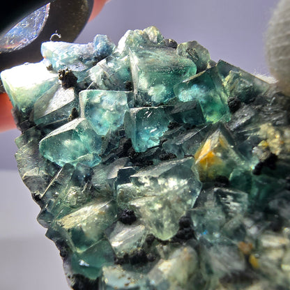 Cubes rares de fluorite fantôme zonale, vert violet, Erongo, Namibie 74 x 41 x 9 mm 