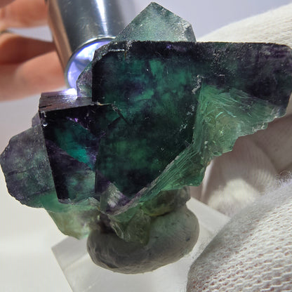 Clear Phantom Fluorite Cube Specimen zonal green purple Okorusu, Namibia 51*33*33mm 
