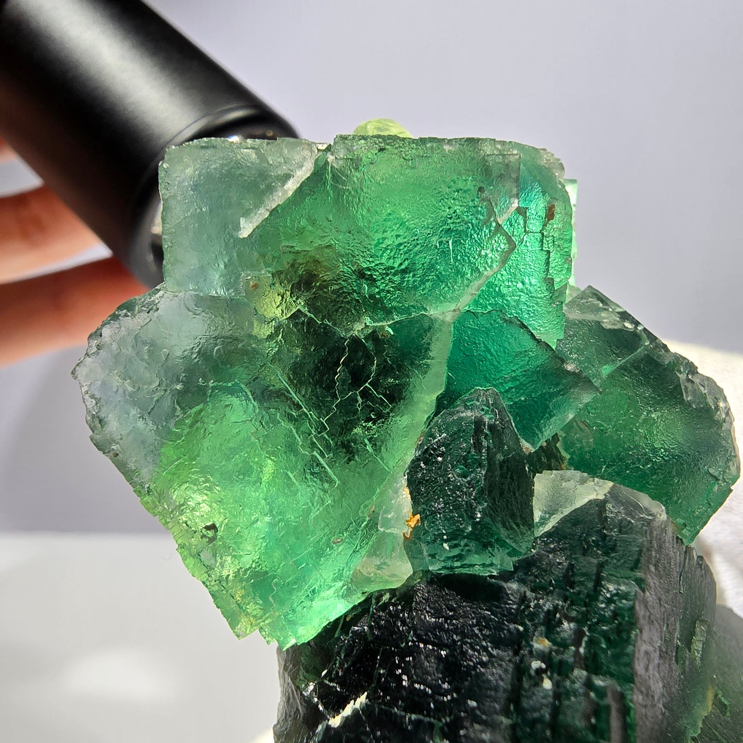 Große Phantom Fluorit Würfel Stufe parkettiert grün Okorusu Namibia 89*67*47mm
