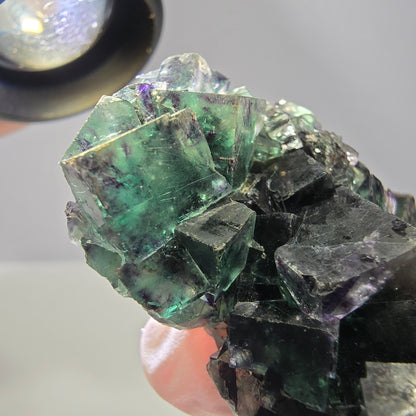 Phantom Fluorite Cube Specimen, parquetted green purple Okorusu, Namibia 52*41*18mm 