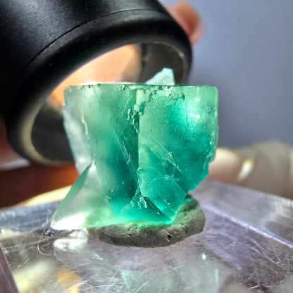 Seltene Phantom Fluorit Würfel Stufe, grün Okorusu, Namibia 17*16*16mm