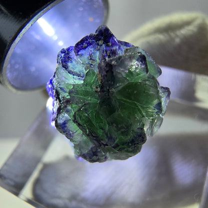 Cube de fluorite fantôme zonal, spécimen de tourmaline Schorl, Erongo, Namibie, 14 x 13 x 13 mm 
