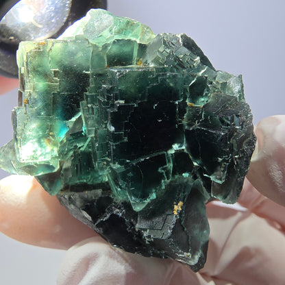 Spécimen de cube de fluorite fantôme parqueté vert violet Okorusu, Namibie 42*38*24mm 