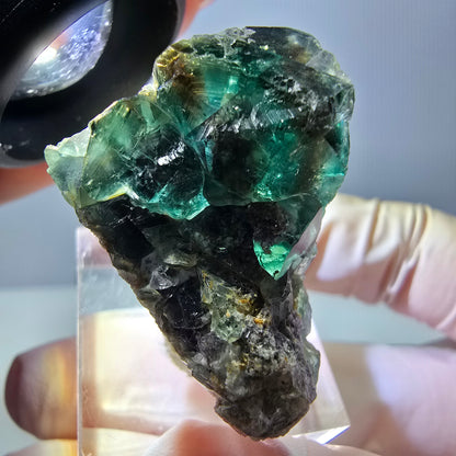 Spécimen de cube de fluorite fantôme, parquet vert Okorusu, Namibie 32 x 26 x 24 mm 