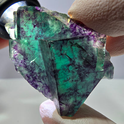 Spécimen de cube de fluorite fantôme, parqueté vert violet Okorusu, Namibie 49*30*22 mm 