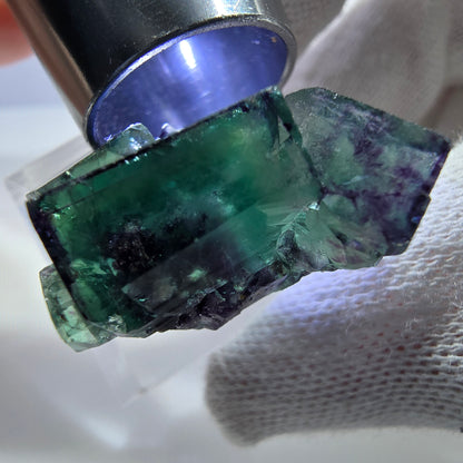 Rare spécimen de cube de fluorite fantôme, vert-violet zonal, Okorusu, Namibie, 31 x 21 x 15 mm 