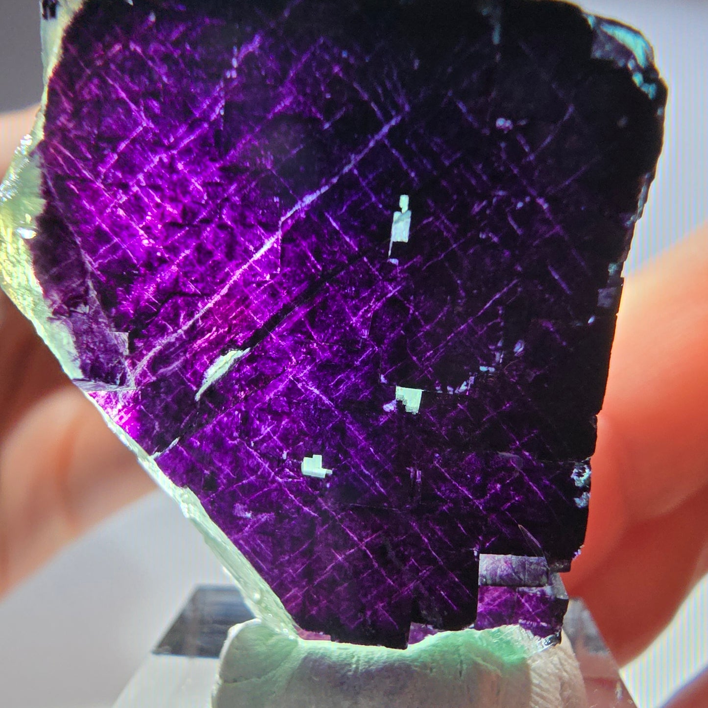 Fluorit Würfel Stufe, parkettiert grün lila 11:11 Angel Pocket Okorusu, Namibia 35*31*16mm