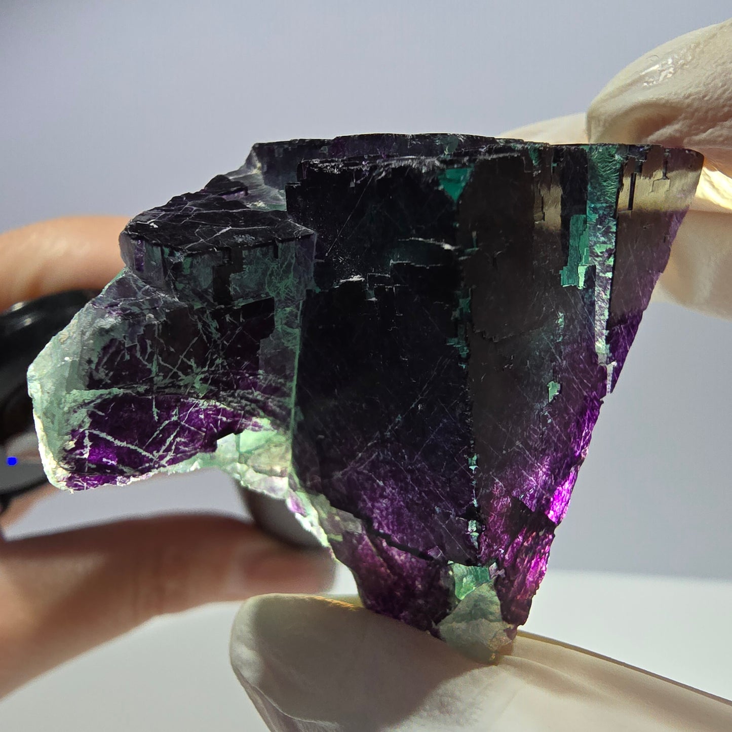 Spécimen de cube de fluorite fantôme vert violet zonal 11:11 Angel Pocket, Namibie 54*38*38mm 