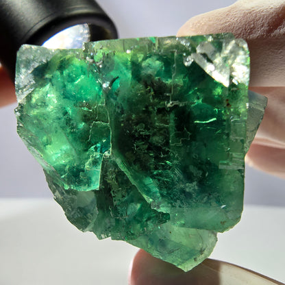 Spécimen de cube de fluorite fantôme transparente, vert parqueté, Okorusu, Namibie, 42 x 38 x 38 mm 