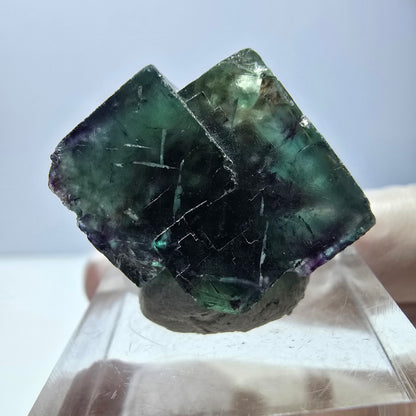 Phantom Fluorite cube parquetted, green purple Okorusu, Namibia 19*19*16mm 