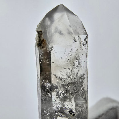 Enhydro Phantom Smoky Quartz Sceptre Tip 2x Bubble Goboboseb, Namibie 61*13*12mm 