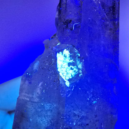 Sceptre DT en quartz fumé squelette Enhydro, poche Valentine en calcite UV, Namibie 105 x 34 x 23 mm 