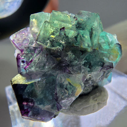 Spécimen de cube de fluorite fantôme zonal, de muscovite et de tourmaline Schorl, Erongo, Namibie, 22 x 19 x 14 mm 