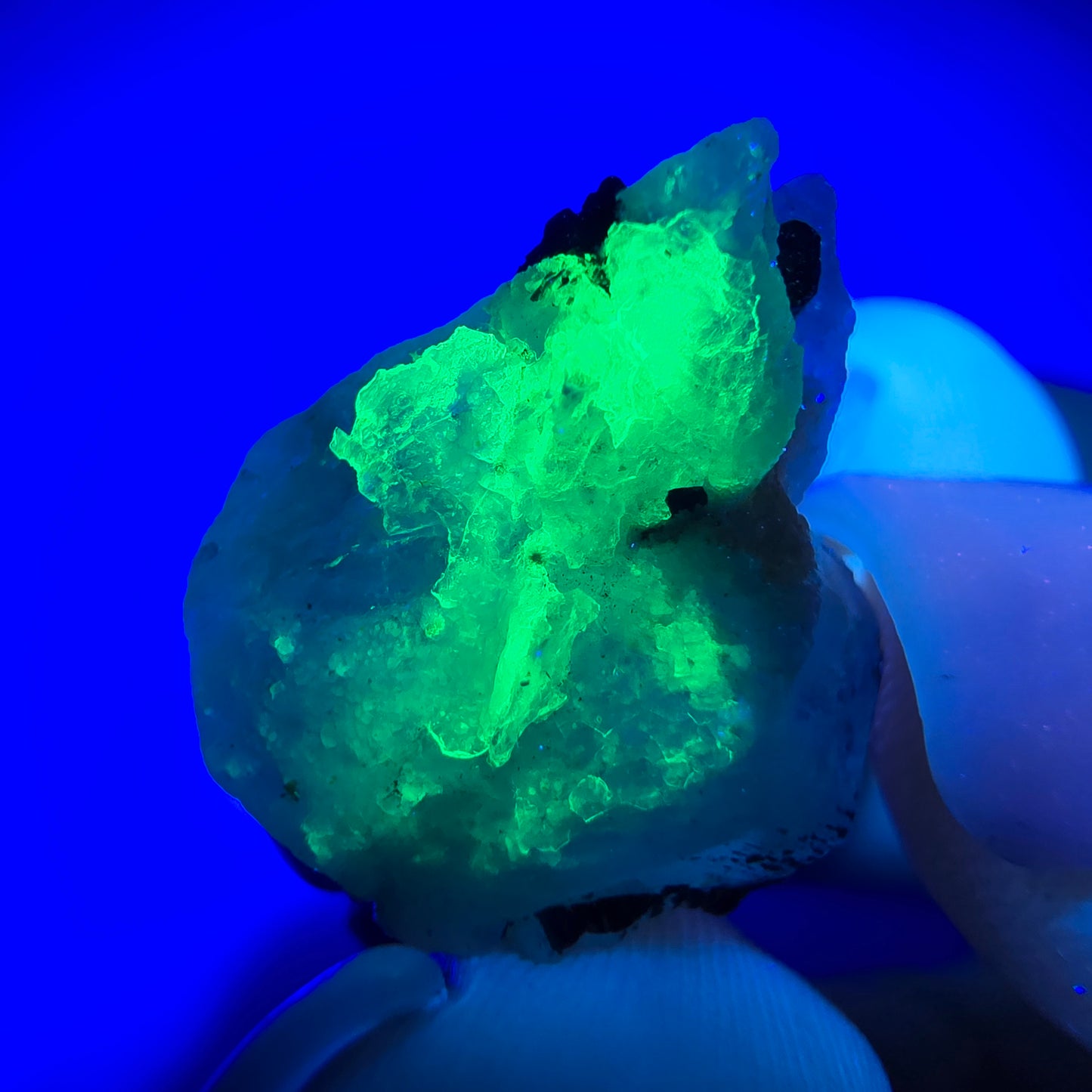 Aigue-marine Setlene, opale hyalite, tourmaline Schörl stade Erongo, Namibie 17*10*11mm 