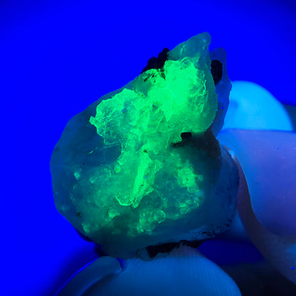 Aigue-marine Setlene, opale hyalite, tourmaline Schörl stade Erongo, Namibie 17*10*11mm 