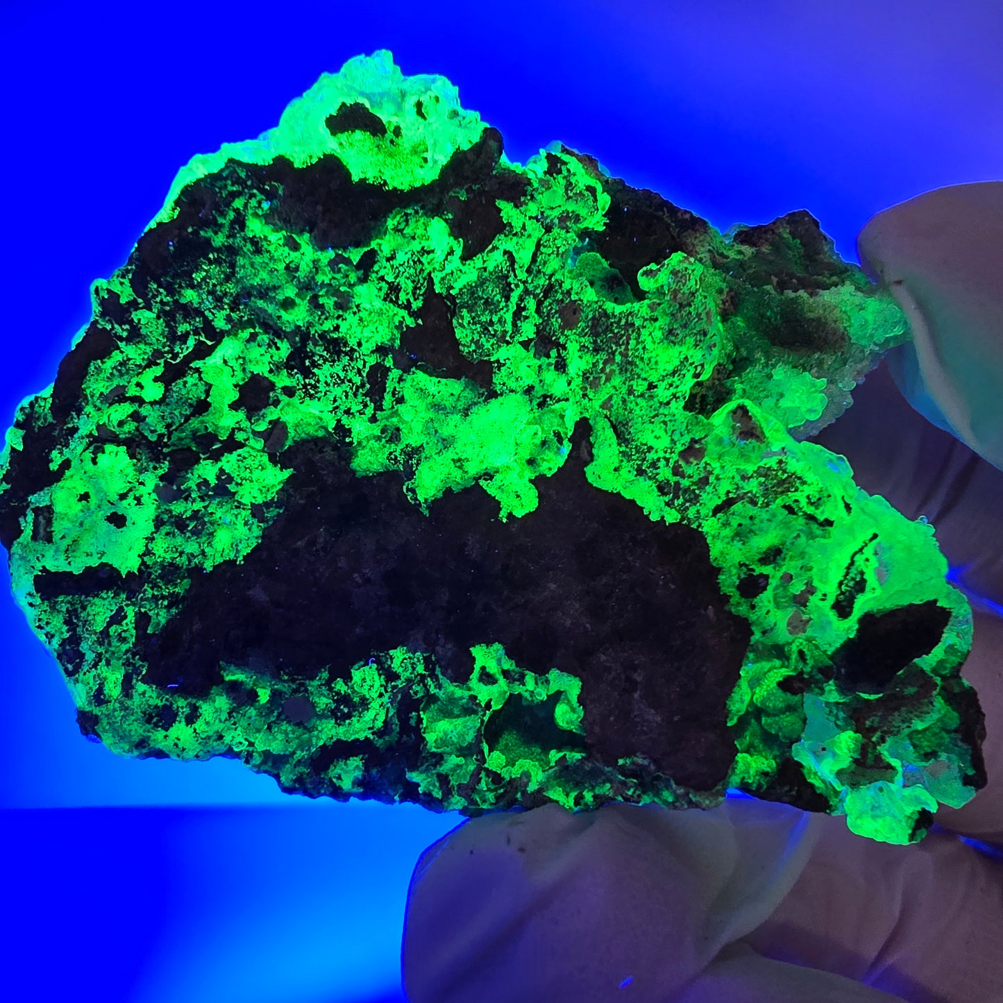 Spécimen rare d'opale hyalite et de tourmaline Schorl, Erongo, Namibie, 62 x 43 x 21 mm 