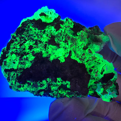 Spécimen rare d'opale hyalite et de tourmaline Schorl, Erongo, Namibie, 62 x 43 x 21 mm 