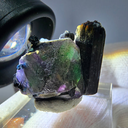 Spécimen de cube de fluorite fantôme zonal, de muscovite et de tourmaline Schorl, Erongo, Namibie, 25 x 20 x 18 mm 