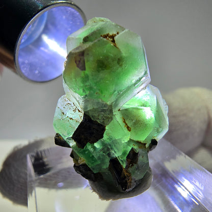 Spécimen de tourmaline Schorl hexagonale en cube de fluorite fantôme, Erongo, Namibie, 26 x 19 x 12 mm 