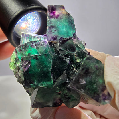 Spécimen de cube de fluorite fantôme, parqueté vert violet Okorusu, Namibie 51*39*24 mm 