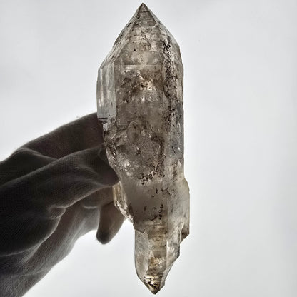 XL Skeleton Phantom Smoky Quartz DT Sceptre Valentine Pocket, Namibie 183*56*44mm 