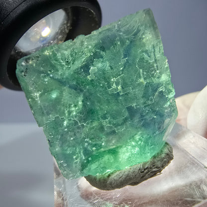 Cube de fluorite fantôme transparente parquetée, vert Okorusu, Namibie 22 x 22 x 17 mm 