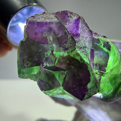 Phantom Fluorit Würfe Stufe, grün lila Erongo, Namibia 32*22*12mm