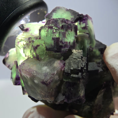 Spécimen de cube de fluorite fantôme, parqueté, zonal Okorusu, Namibie 54 x 39 x 38 mm 