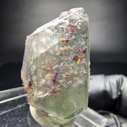 Zonar Phantom Fluorite Cube Tier Vert Violet Erongo Namibie 29*20*17mm