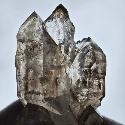 Sceptre fantôme squelette XL en quartz fumé DT, poche Saint-Valentin en calcite UV, Namibie 191 x 60 x 51 mm 