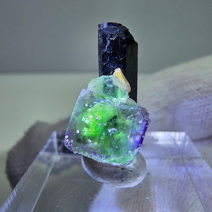 Cube de fluorite fantôme, spécimen de tourmaline schol moscovite, Erongo, Namibie, 19 x 11 x 10 mm 