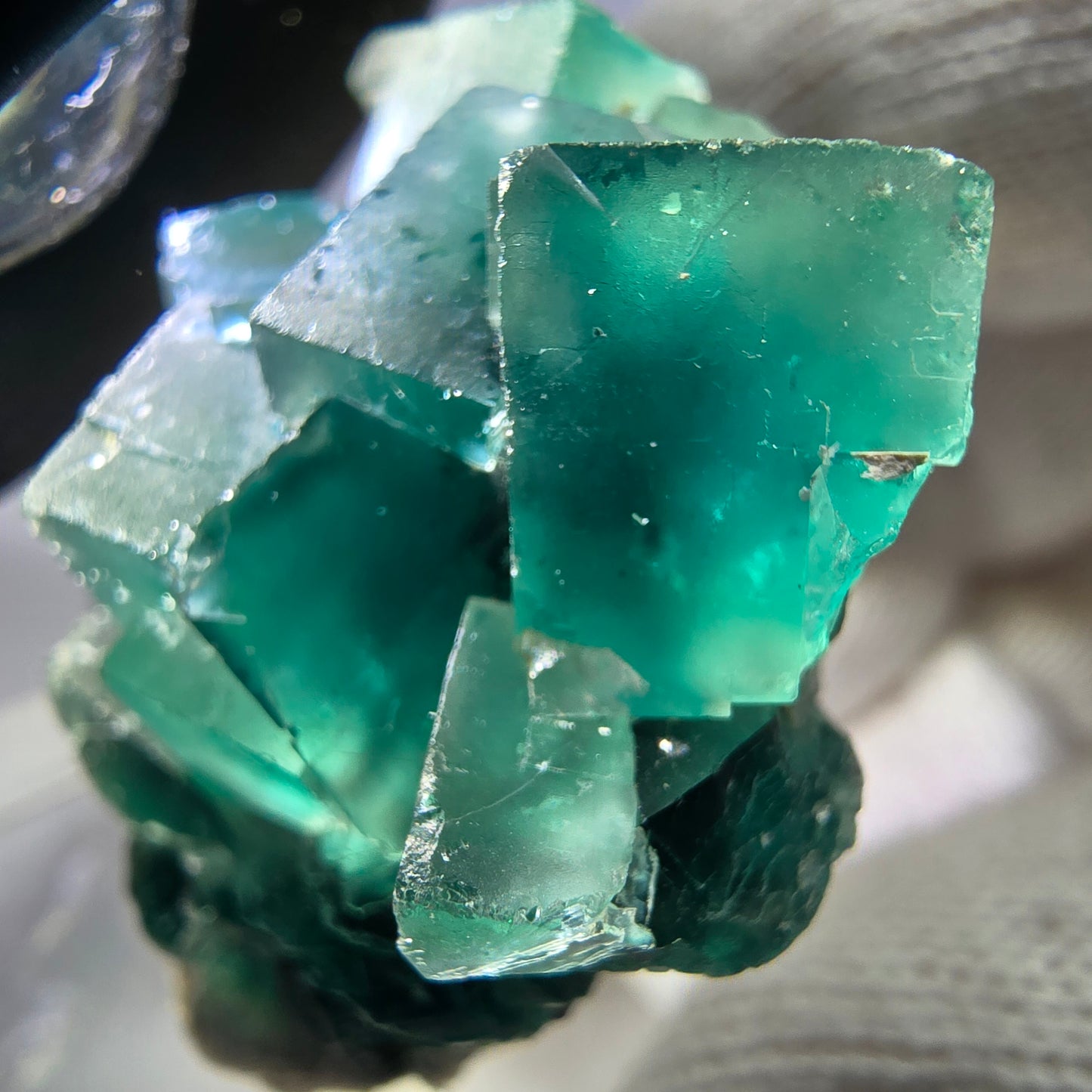 Seltene Phantom Fluorit Würfel Stufe zonal grün lila Okorusu, Namibia 36*29*21mm