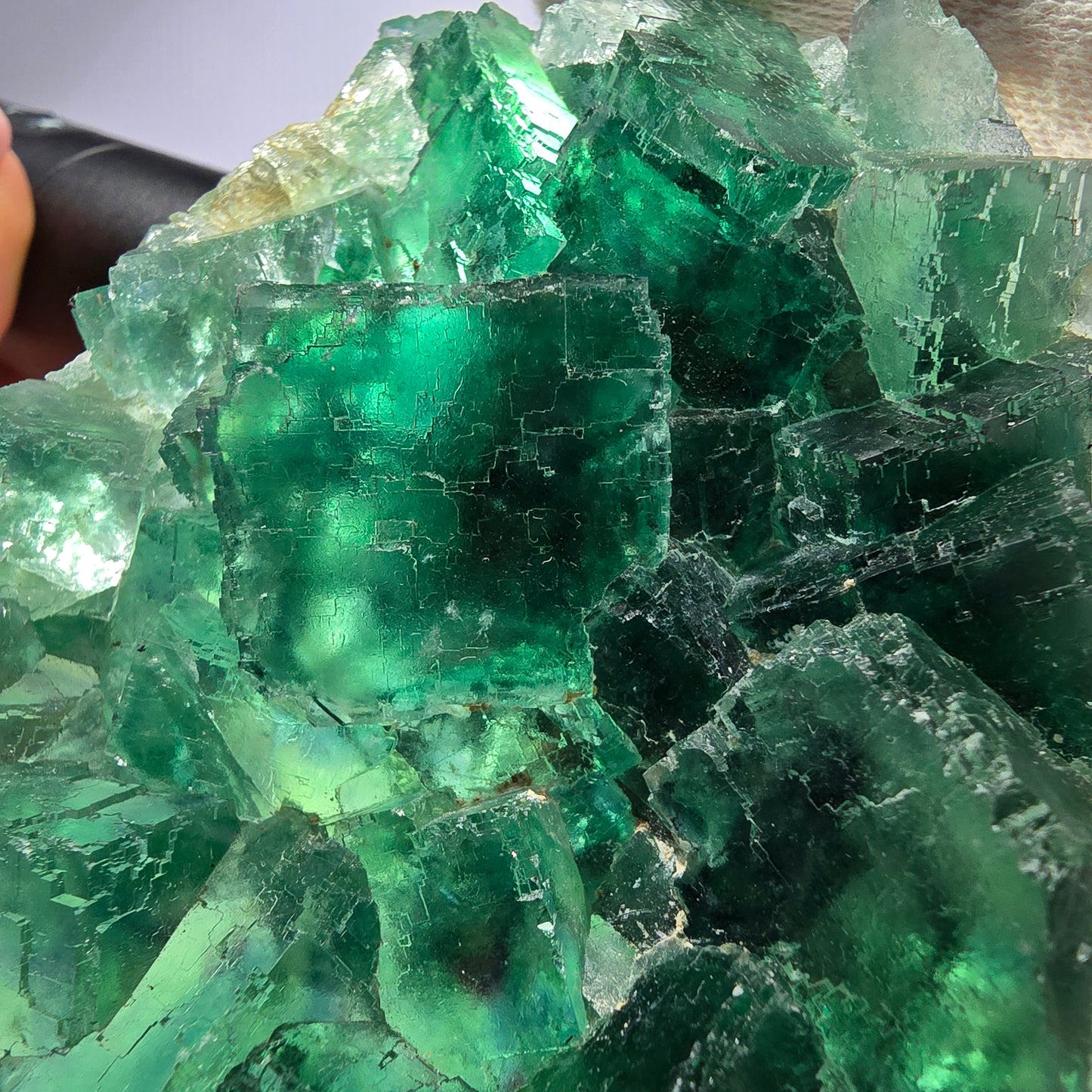 Grand cube de fluorite fantôme étagé vert violet Okorusu Namibie 100 x 75 x 29 mm 