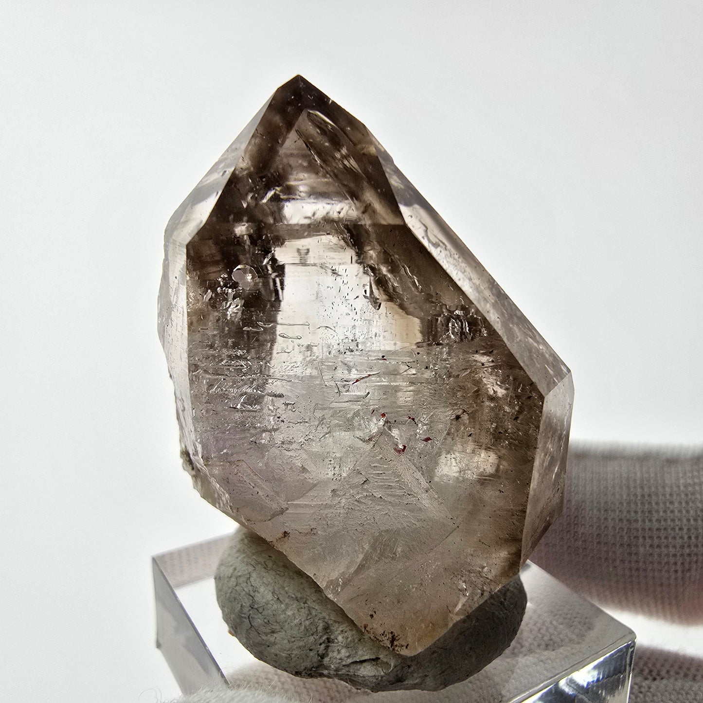 Enhydro Phantom Rauchquarz Zepter Spitze 1x Blase Goboboseb, Namibia 39*29*22mm