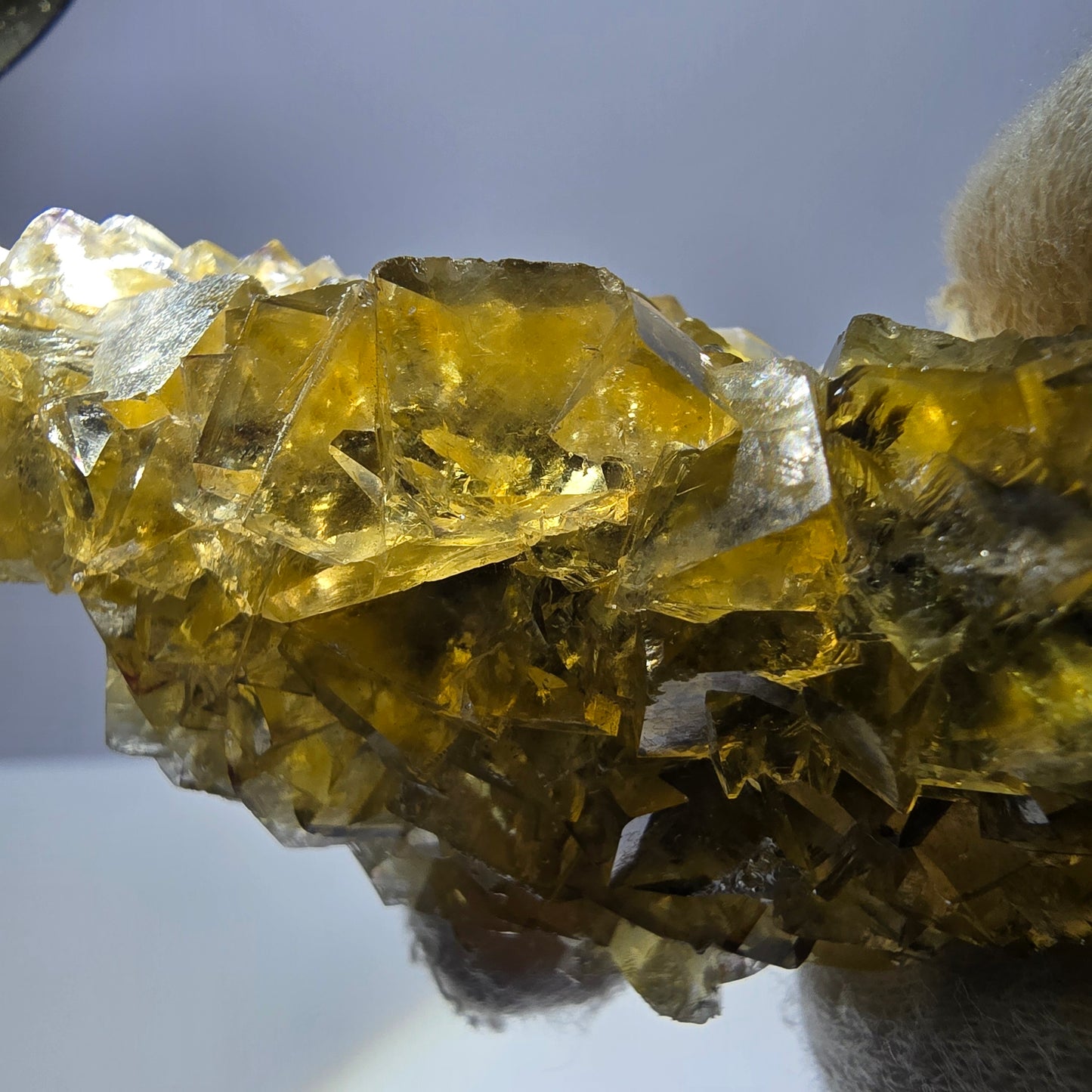 Grand spécimen de cube de fluorite fantôme, poche jaune miel, Okorusu, Namibie, 101 x 30 x 34 mm 
