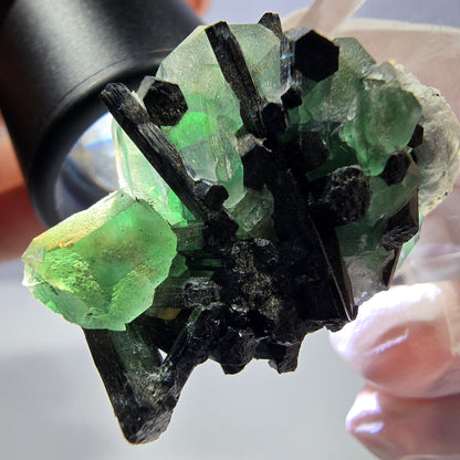 Cube hexagonal de fluorite fantôme, spécimen de tourmaline Schorl, Erongo, Namibie, 30 x 25 x 13 mm 