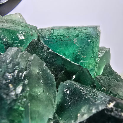 Grand spécimen de cube de fluorite fantôme, vert parqueté Okorusu Namibie 113*95*54mm 