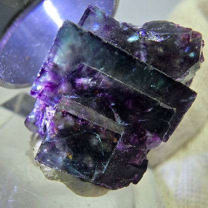 Seltene Phantom Fluorit Würfel Stufe zonal grün lila Okorusu, Namibia 23*19*15mm