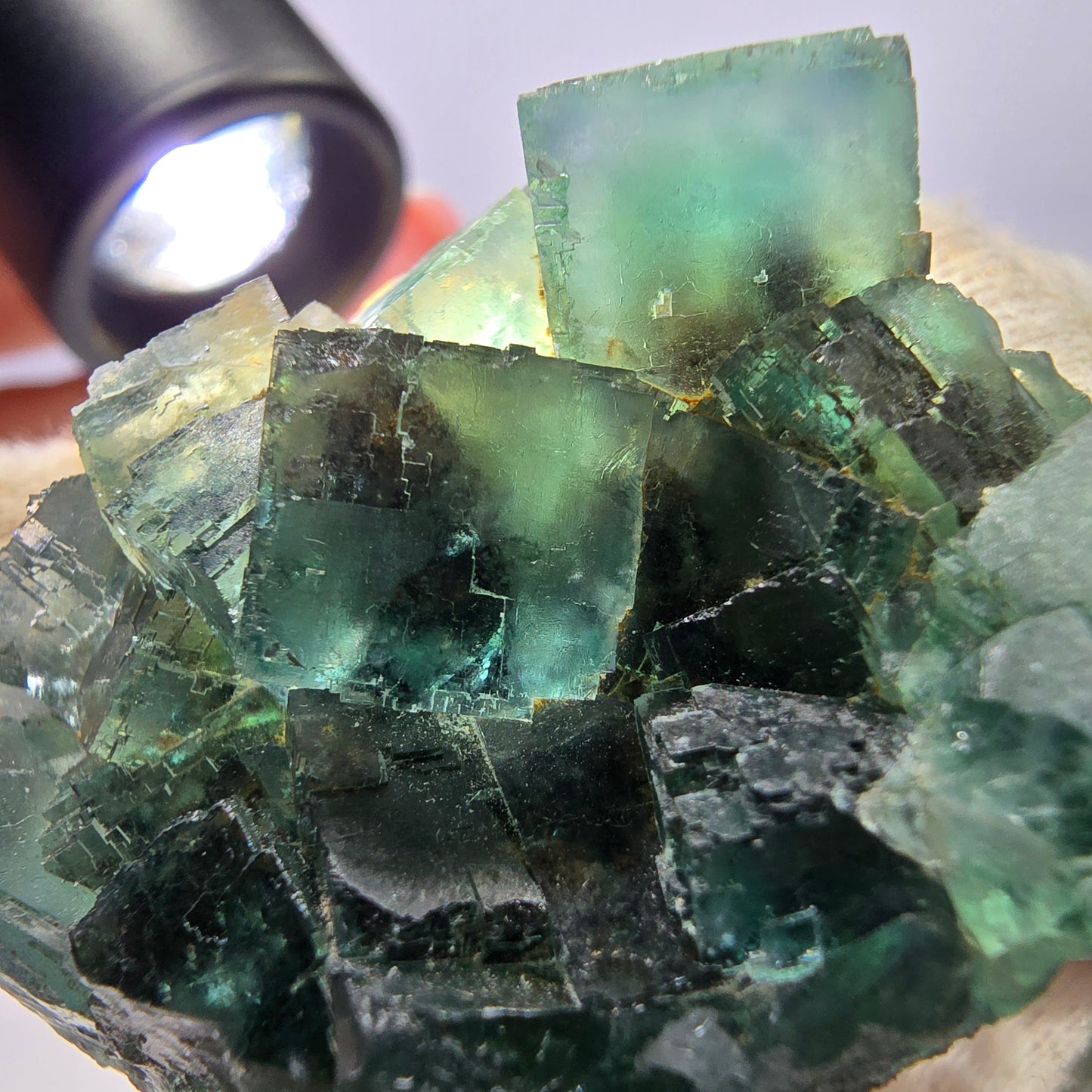 Rare spécimen de cube de fluorite fantôme, parqueté vert Okorusu, Namibie, 43 x 39 x 20 mm 
