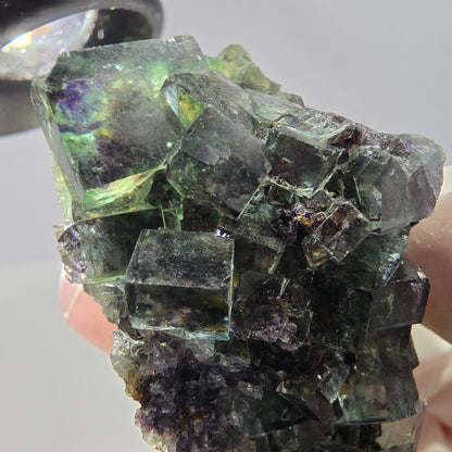 Spécimen de cube de fluorite fantôme parqueté vert violet Okorusu, Namibie 50*34*31mm 