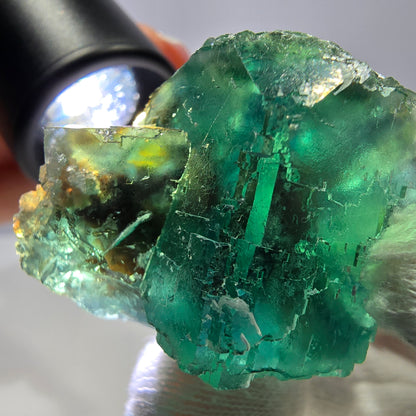 Rare spécimen de cube de fluorite fantôme, parqueté vert Okorusu, Namibie, 41 x 31 x 32 mm 