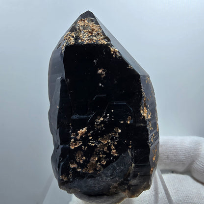 Sceptre de poche en quartz fumé squelette fantôme lémurien, Goboboseb de la Saint-Valentin, Namibie, 66 x 41 x 36 mm 
