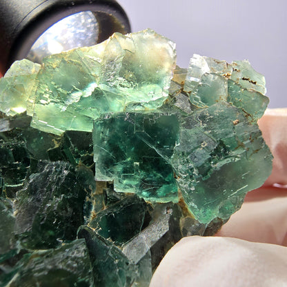 Spécimen de cube de fluorite fantôme transparente, vert parqueté, Okorusu, Namibie, 57 x 44 x 19 mm 